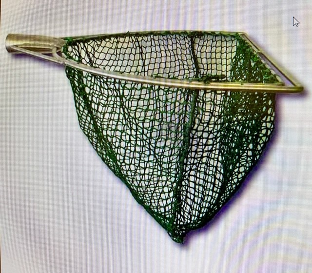 Kescher D-Form 30 cm 10 mm(MW) grün Kescher D-Form 30 cm 10 mm(MW) grün